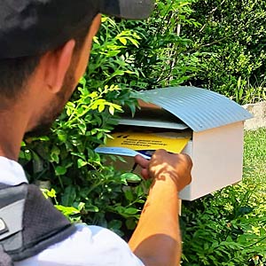 Letterbox Distribution