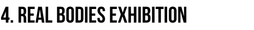 Real Bodies Exhibition