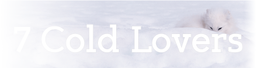 7 Cold Lovers