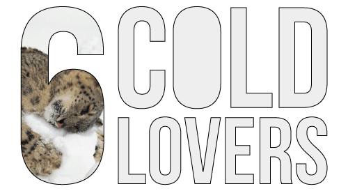 6 Cold Lovers